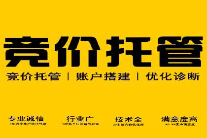 竞价开户技巧：实战案例分析